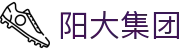 阳大集团股份有限公司